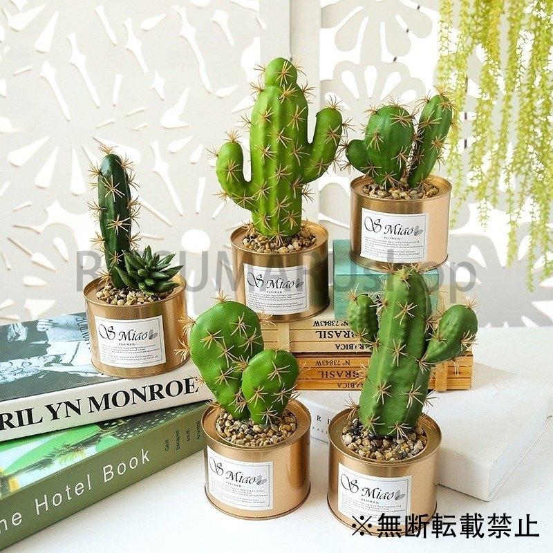 人工観葉植物 サボテン フェイクグリーン ポット 造花 多肉植物 5種類 Ritsu Ritsumarushop 通販 Yahoo ショッピング