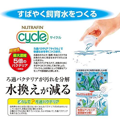 ジェックス GEX 淡水用 サイクル 500mL 水槽内で生態系を維持するために水質管理用品飼育水約2500L分｜ritsumushop｜04