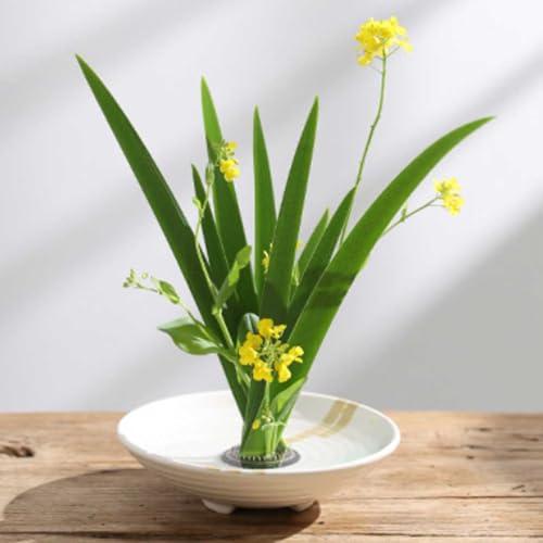 剣山 生け花 6個セット ミニ 丸剣山 花留め 生花本格派 花留 滑り止め