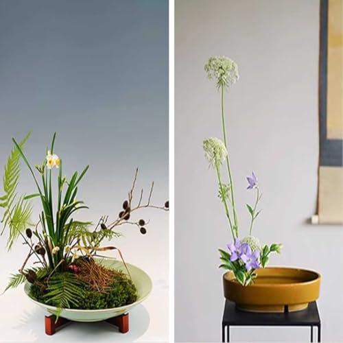 剣山 生け花 6個セット ミニ 丸剣山 花留め 生花本格派 花留 滑り止め