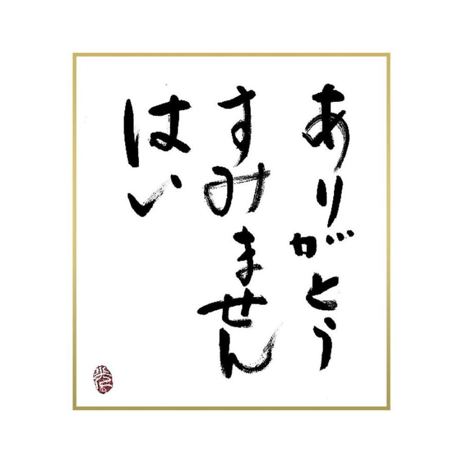 書道色紙 名言 ありがとう すみません はい 直筆限定品 21人気の