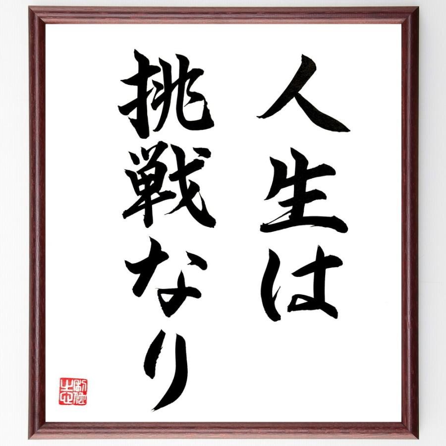 名言「人生は挑戦なり」直筆書道色紙額／直筆済 | 