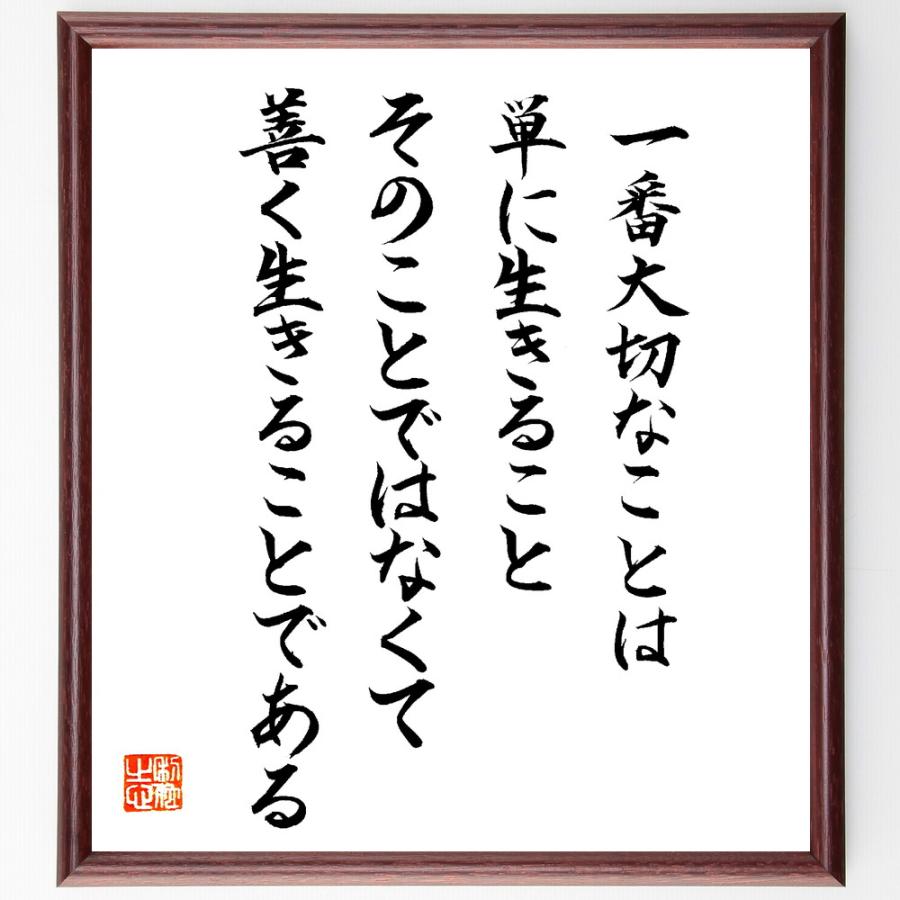 プラトンの名言「一番大切なことは単に生きることそのことではなくて、善く生きることである」直筆書道色紙額／直筆済 | 