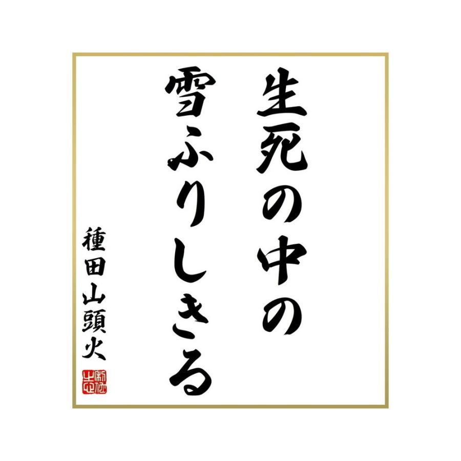 オリジナル Ortlieb Rackpack Xl オルトリーブ ラックパックxl 新デザイン P Dprd Jatimprov Go Id