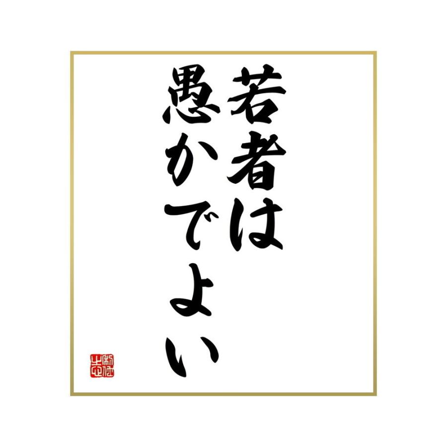 数量は多 抱っこ紐 おんぶ紐 名言集で人気の言葉 偉人の一言を書道で直筆 送料無料でお届け 書道色紙 名言 若者は 愚かでよい 受注後直筆 Aun Sch Ng