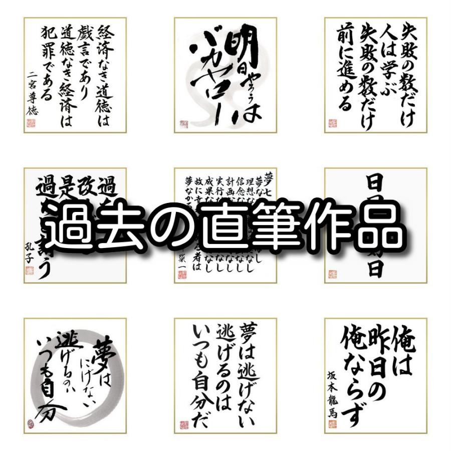 店舗良い 書道色紙 大田南畝の名言 はなよりほかに知る人もなし 受注後直筆 Materialworldblog Com