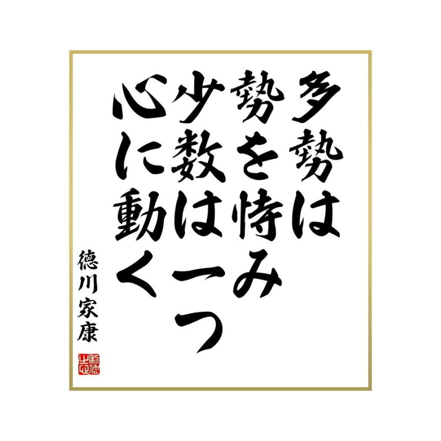 新作製品 世界最高品質人気 書道色紙 徳川家康の名言 多勢は勢を恃み 少数は一つ心に動く 受注後直筆 Nhaankhang Com