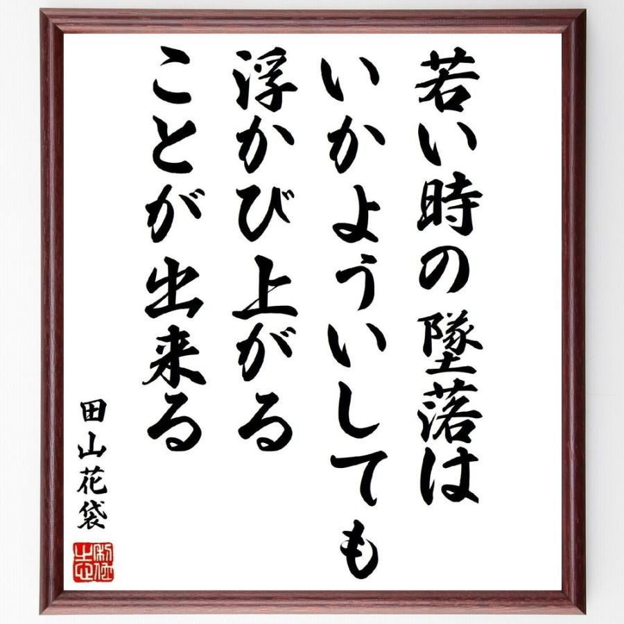 書道色紙 田山花袋の名言 若い時の墜落は いかよういしても 浮かび上がることが出来る 額付き 受注後直筆品