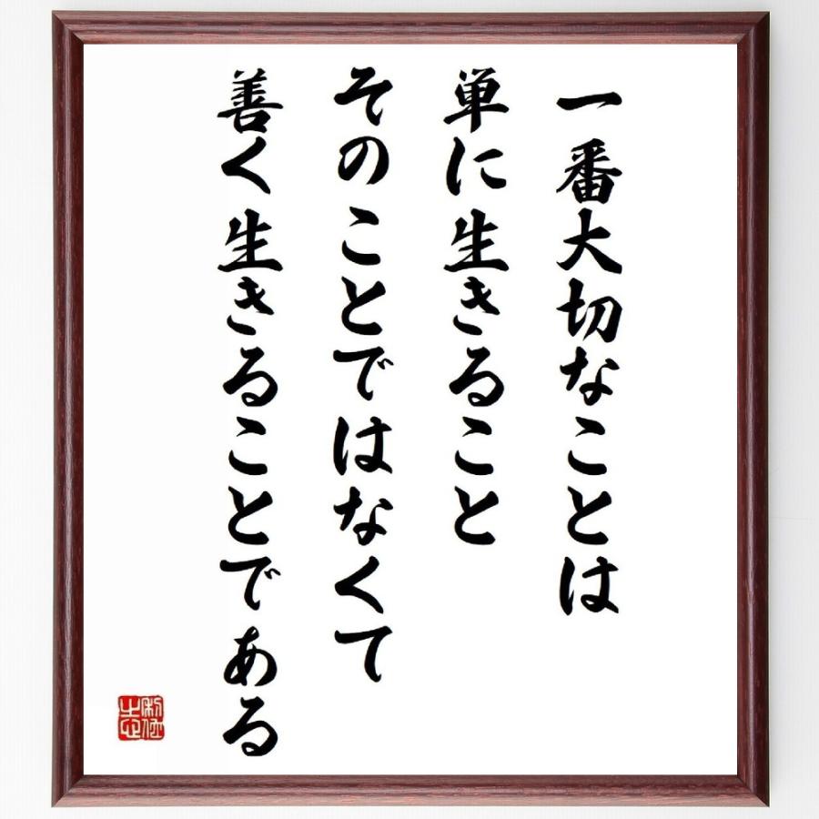 プラトンの名言「一番大切なことは、単に生きることそのことではなくて、善く生きることである」直筆書道色紙額／受注後直筆 | 