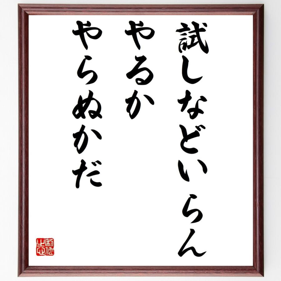 名言「試しなどいらんやるかやらぬかだ」手書き書道色紙額／受注後の毛筆直筆 | 
