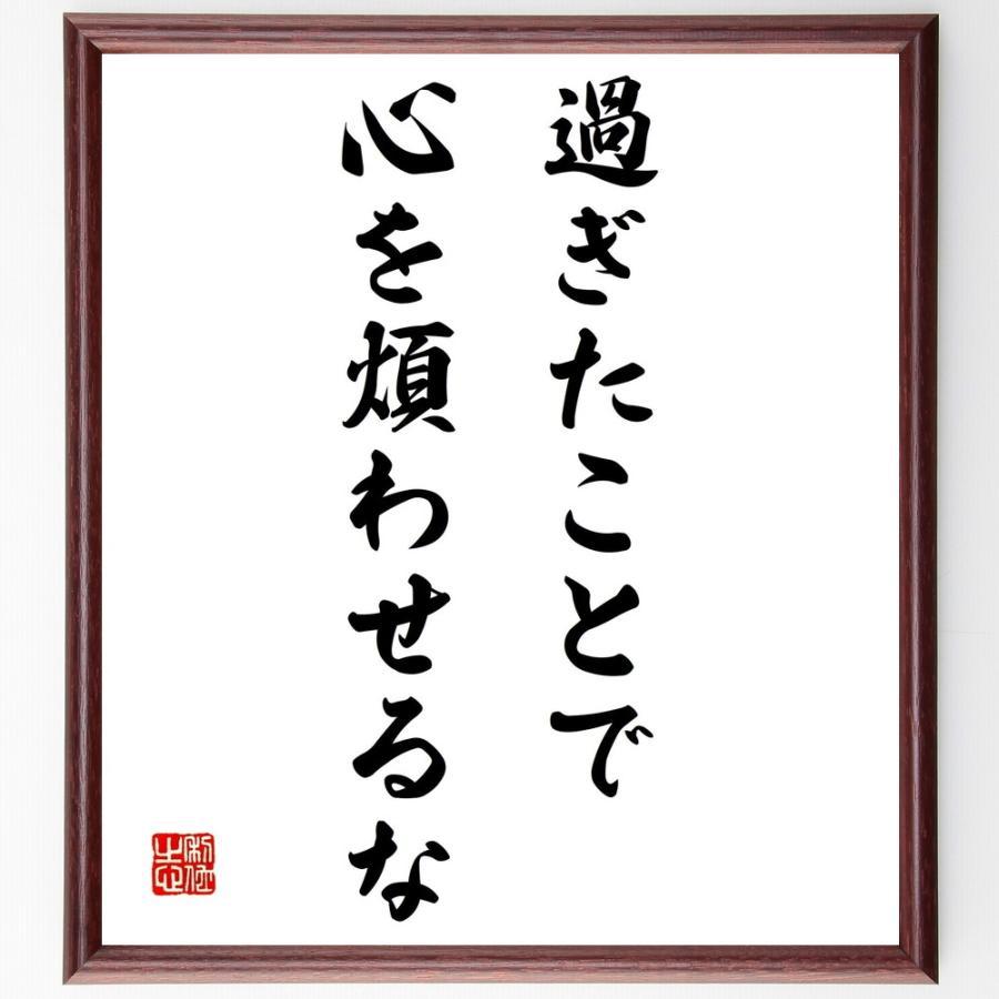 ナポレオン ボナパルトの名言 過ぎたことで心を煩わせるな 額付き書道色紙 受注後直筆 Z0225 直筆書道の名言色紙ショップ千言堂 通販 Yahoo ショッピング