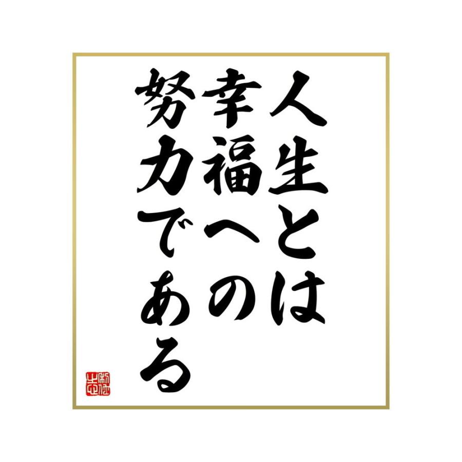 低価格の 書道色紙 名言 人生とは幸福への努力である 受注後直筆 Site Starbrasil Com Br