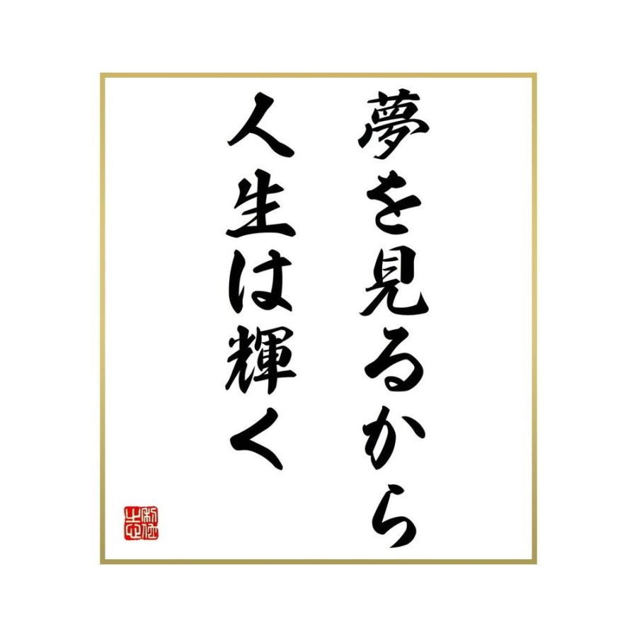22公式店舗 巡礼 遍路用品 名言集で人気の言葉 偉人の一言を書道で直筆 送料無料でお届け 書道色紙 モーツァルトの名言 夢を見るから 人生は輝く 受注後直筆