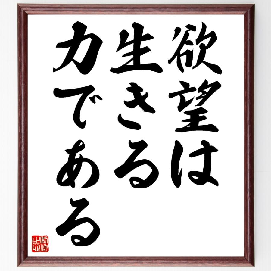 名言 欲望は生きる力である 額付き書道色紙 受注後直筆 特価