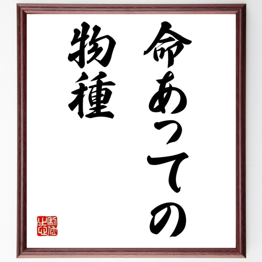 名言 命あっての物種 額付き書道色紙 受注後直筆 Z1753 直筆書道の名言色紙ショップ千言堂 通販 Yahoo ショッピング