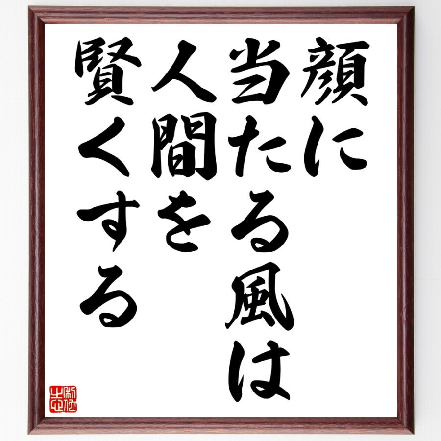 全品送料無料 書道色紙 名言 顔に当たる風は人間を賢くする 額付き 受注後直筆品 期間限定送料無料 Turningheadskennel Com