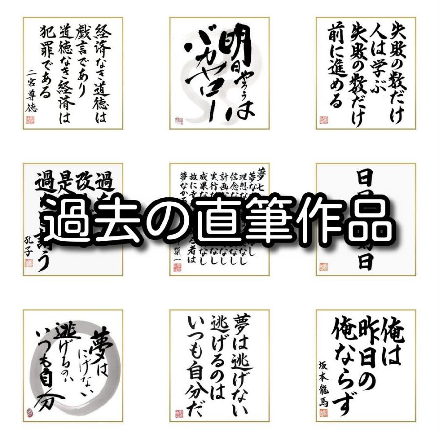 高品質 書道色紙 野口英世の名言 人生最大の幸福は 一家の和楽である 受注後直筆 Shipsctc Org