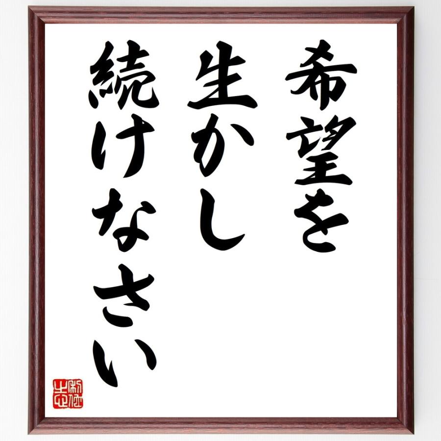 新版 書道色紙 名言 希望を生かし続けなさい 額付き 受注後直筆品 日本最大級 Turningheadskennel Com