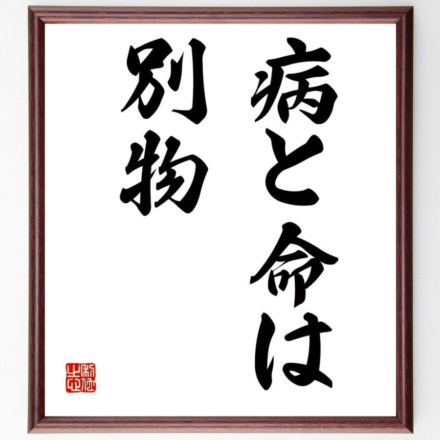 名言「病と命は別物」直筆書道色紙額／受注後直筆 | 
