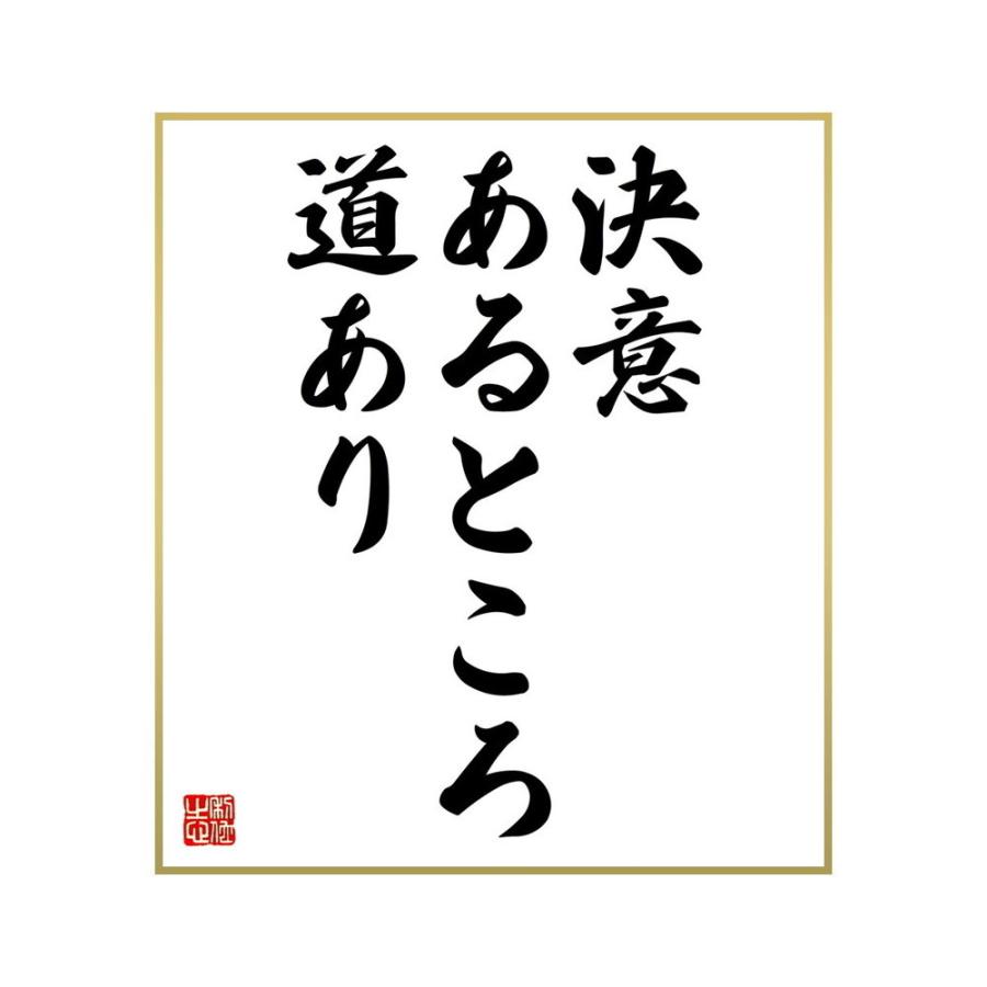 限定タイムセール 書道色紙 名言 決意あるところ 道あり 受注後直筆 Materialworldblog Com