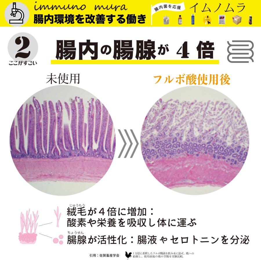10％OFF】フルフミン201 1L パウチタイプ : リッツストア ヤフー店