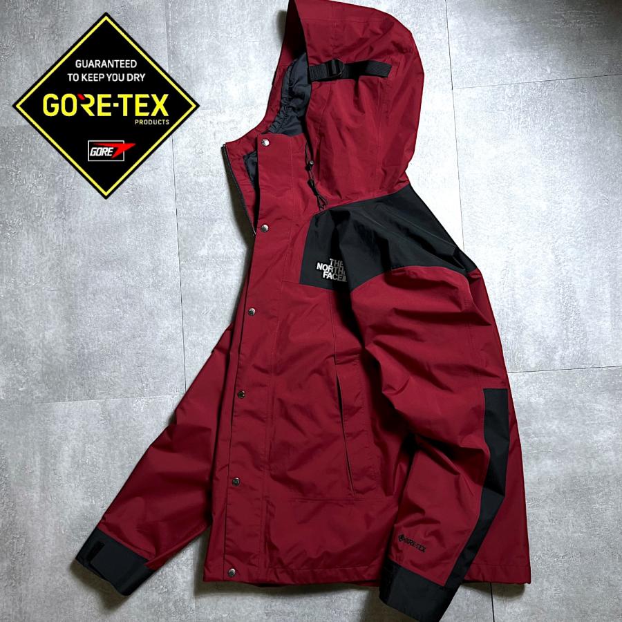 THE NORTH FACE（ザ ノースフェイス） ノースフェイス GTX 1990