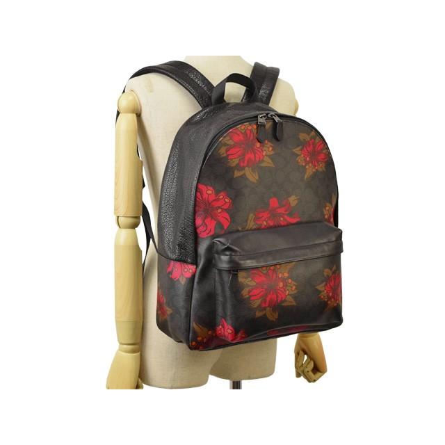 COACH コーチ バッグ リュックサック バックパック シグネチャー COACH コーチ バッグ リュックサック バックパック シグネチャー