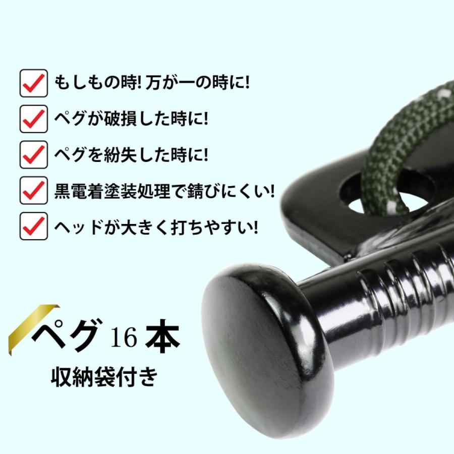 RiveRock(リバロック) 30cm ペグ 収納 バック テント タープ スチールペグ 反射ロープ　緑　16本セット |  | 04
