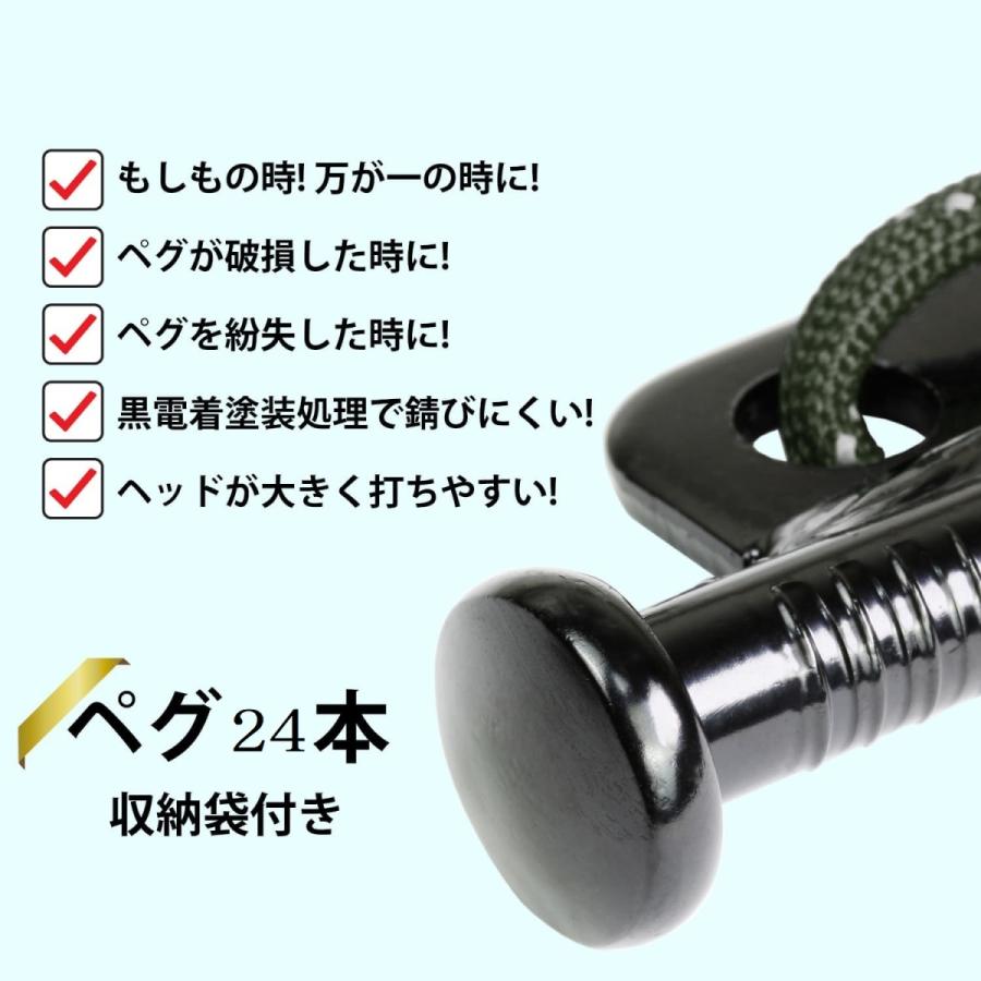 RiveRock(リバロック) 20cm ペグ 収納 バック テント タープ スチールペグ 反射ロープ 緑　24本セット |  | 04