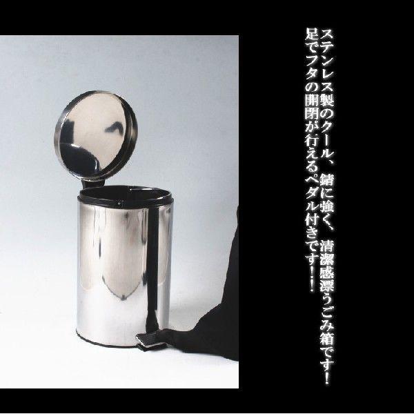 12l ステンレス製 ごみ箱 ゴミ箱 ダストボックス アウトレット価格