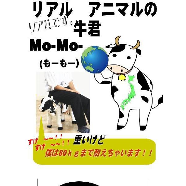 アニマルスツール 座れる ぬいぐるみ 動物ぬいぐるみ ウシ キリン