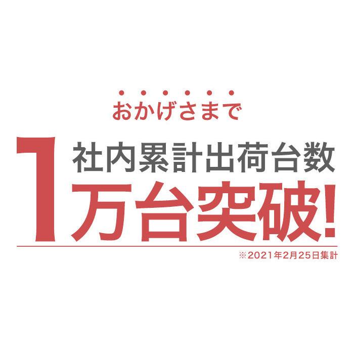 キッチンカウンター 食器棚 カウンターテーブル レンジ台 幅120cm おしゃれ 下収納 間仕切り ロータイプ キャスター付き 人気 アウトレット価格 |  | 16