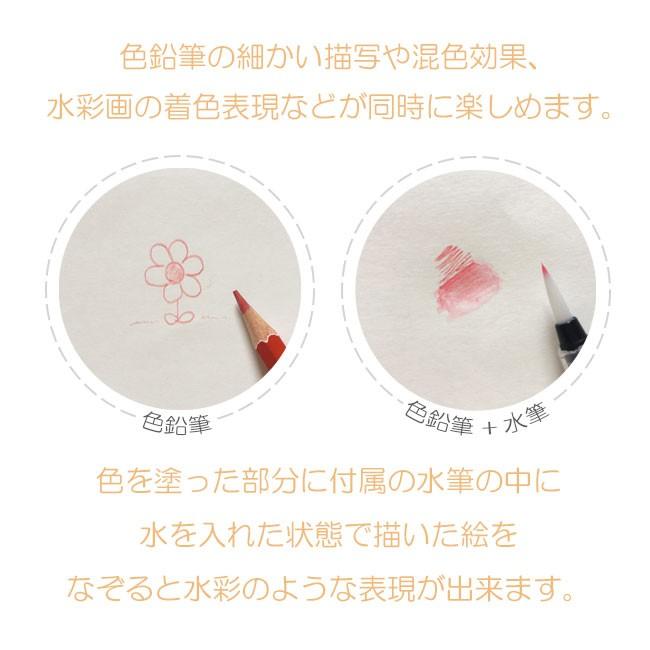 水彩色えんぴつ 水彩色鉛筆 色鉛筆 48色セット 48色 文房具 文具 子供