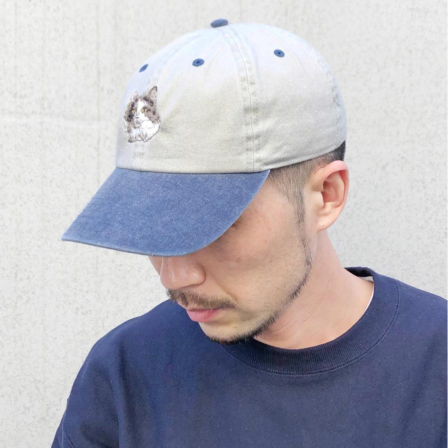 Basiquenti ダルメシアン ビーグル ヨークシャテリア メインクイーン