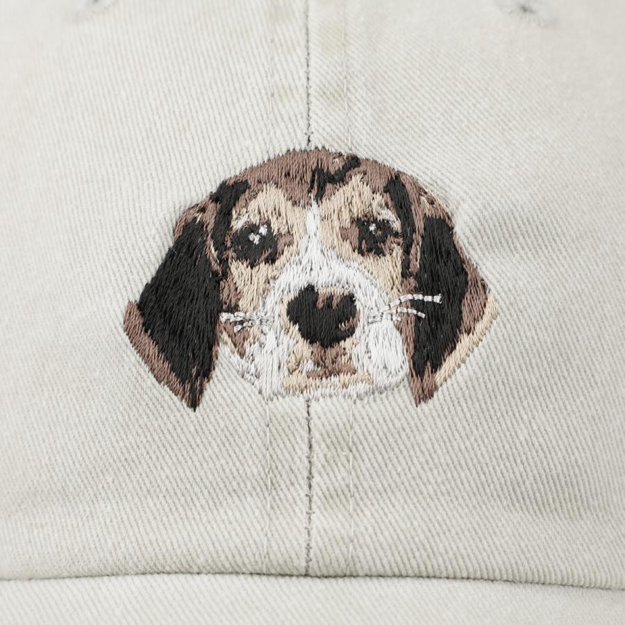 Basiquenti ダルメシアン ビーグル ヨークシャテリア メインクイーン