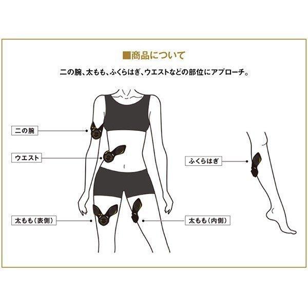 5Diet RIZAP 公式 3D Shaper [3D Spot] 2個セット 腕足用 EMS 腕