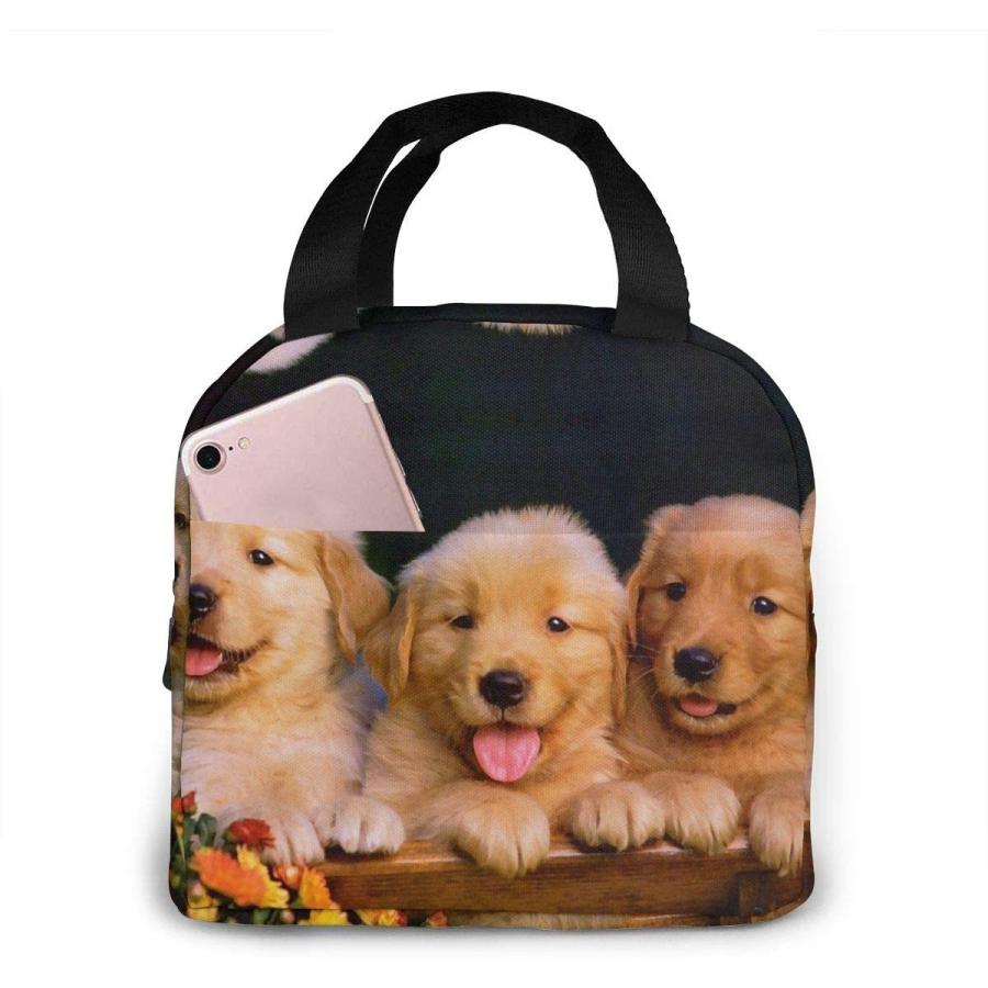 珍しい かわいい子犬 ゴールデンレトリーバー ランチバッグ レディース ガールズ 子供用 断熱 ピクニックポーチ 保温クーラー トート 弁当 大きな食事準備 正規品 Atempletonphoto Com