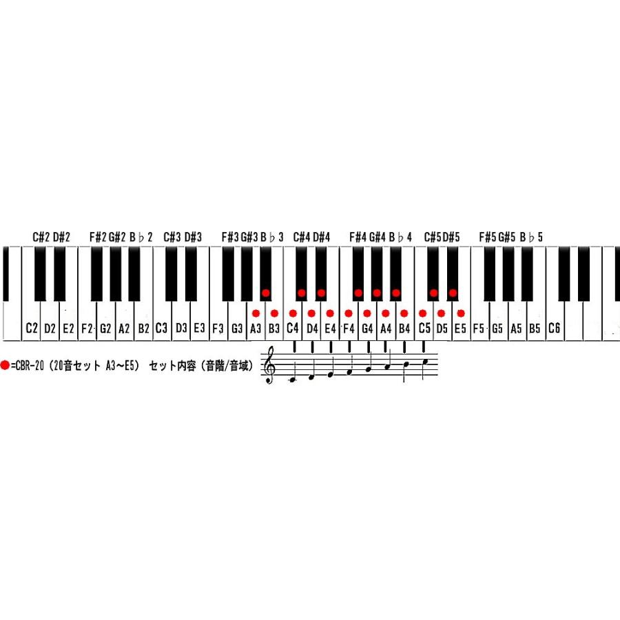 ゼンオン/全音 ミュージックベル・カラーハンド式20音 + ソフトケース（Ｚ-6型）セット CBR20-Z6の画像
