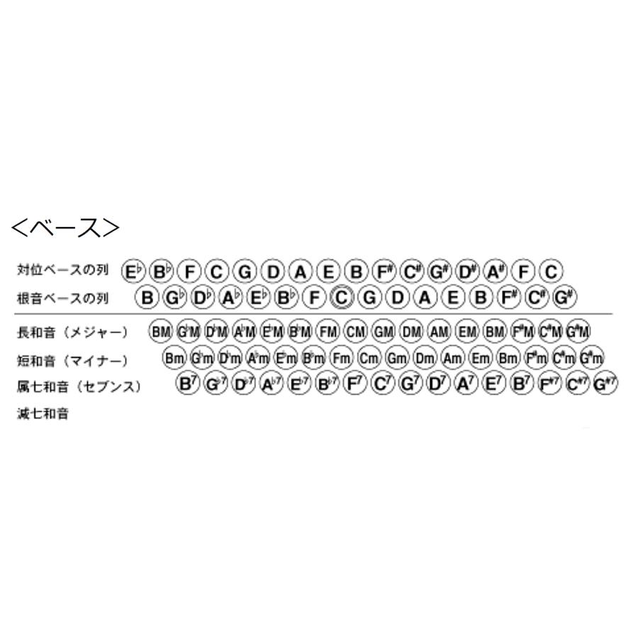 TOMBO 独奏用ピアノ式アコーディオン 34鍵/80ベース J-80の画像