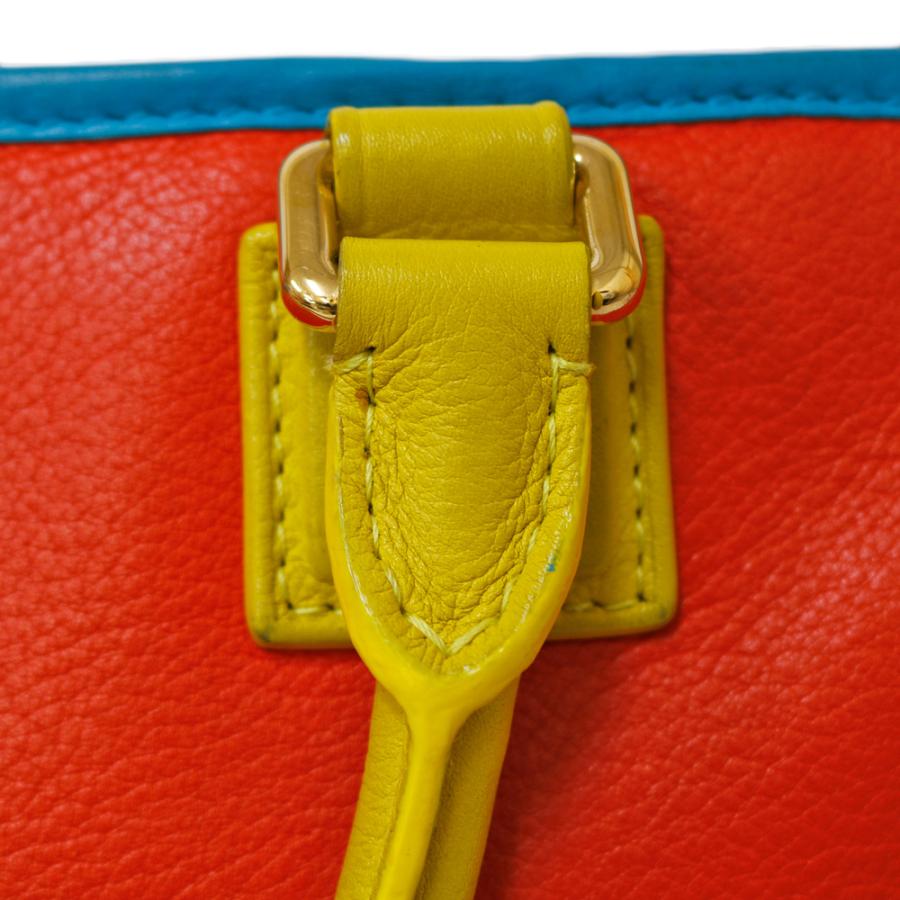 LOEWE（ロエベ） アマソナ 28 リミテッドエディション ハンドバッグ