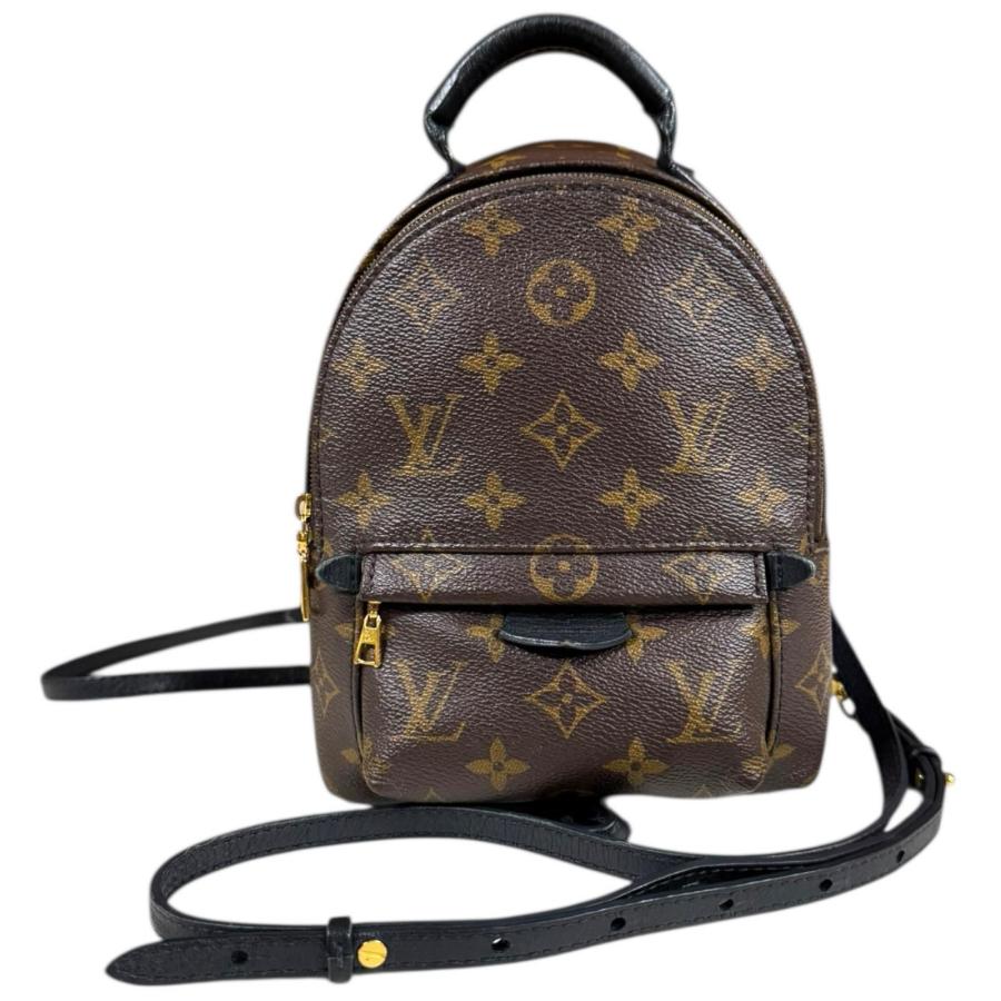 【年内のみ出品】LOUIS VUITTON パームスプリングスMINI LOUIS VUITTON（ルイ・ヴィトン） パームスプリングスMINI モノグラム