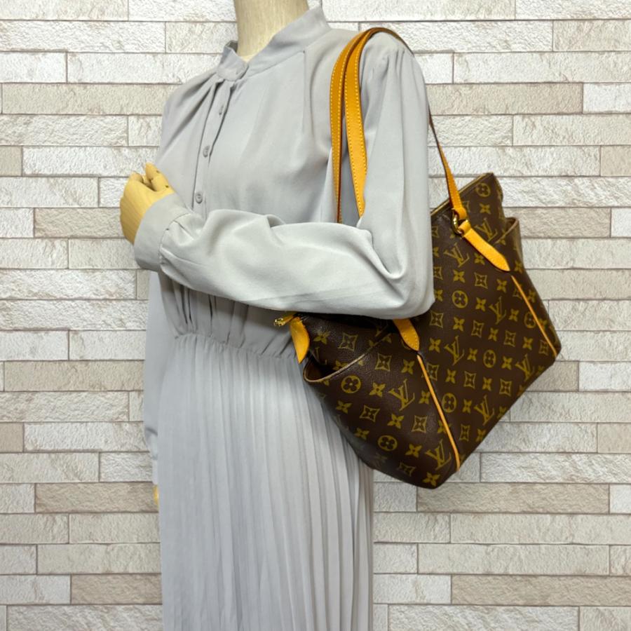 LOUIS VUITTON◇1)トータリーPM_モノグラム・キャンバス_BRW/PVC/BRW  