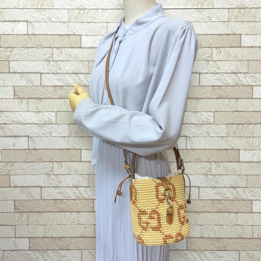 GUCCI（グッチ） ウーヴン ミニ バケットバッグ ショルダーバッグ