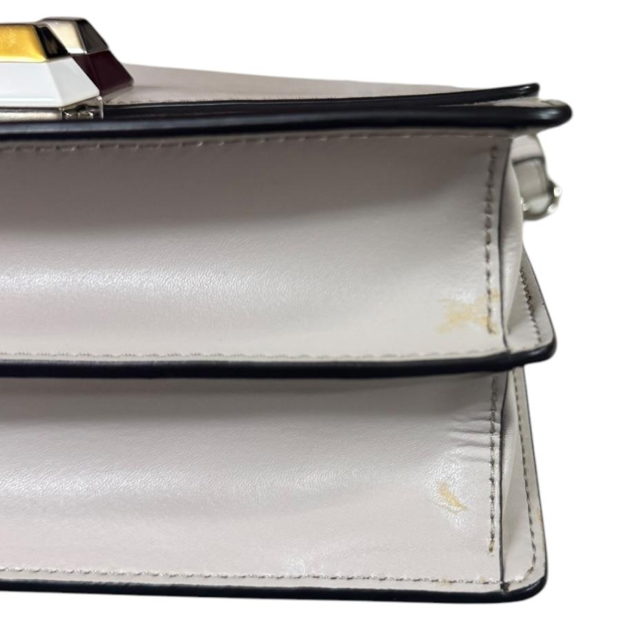 FENDI（フェンディ） キャナイスモール ショルダーバッグ レザー