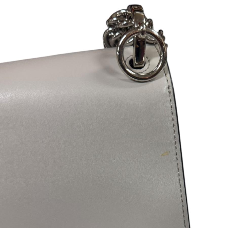 FENDI（フェンディ） キャナイスモール ショルダーバッグ レザー