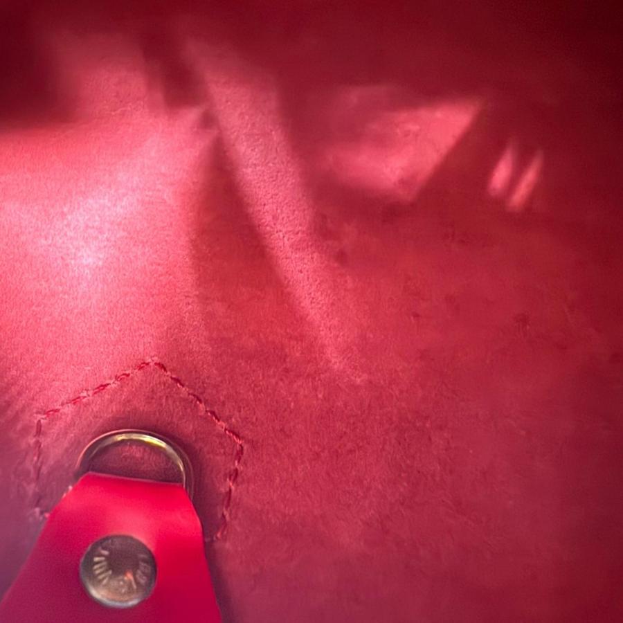 LOUIS VUITTON（ルイ・ヴィトン） スピーディ30 エピ ハンドバッグ