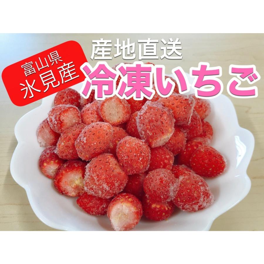 富山県氷見市産 冷凍いちご 650ｇ すずあかね フローズンイチゴ 新色追加
