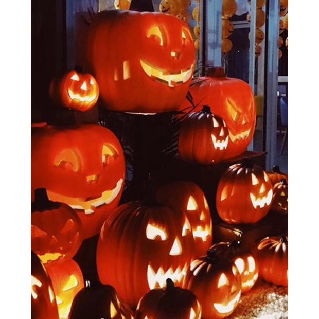 特大! ハロウィン パンプキン LEDライト 海外 本格的 ジャック・オー・ランタン / LED パンプキンライト XLサイズ : R&M