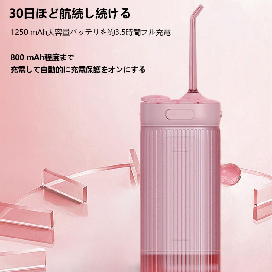 口腔洗浄器 歯垢除去 ジェットウォッシャー USB充電式 口腔洗浄 口腔洗浄器 歯垢除去 ジェットウォッシャー USB充電式 口腔洗浄