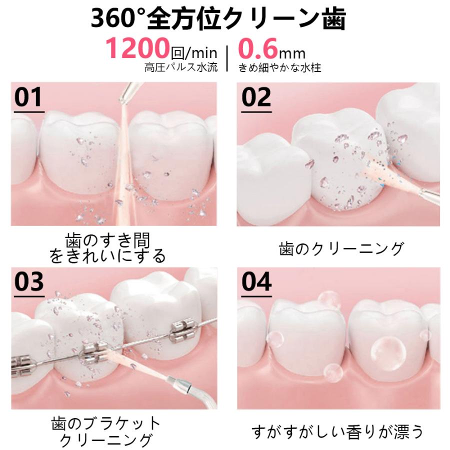 口腔洗浄器 歯垢除去 ジェットウォッシャー USB充電式 口腔洗浄 口腔洗浄器 歯垢除去 ジェットウォッシャー USB充電式 口腔洗浄